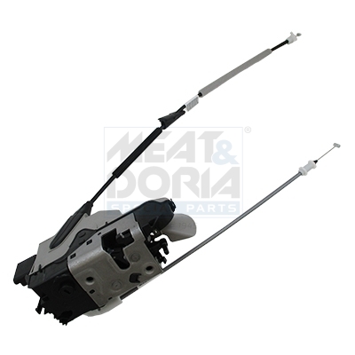 Cod. 31275
