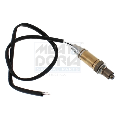 Cod. 81022E