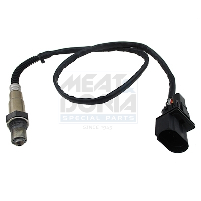 Cod. 81528E